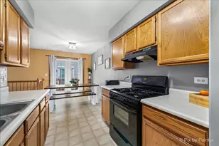 136 Village Creek Dr, Lake in the Hills, IL 60156 - Photo 8