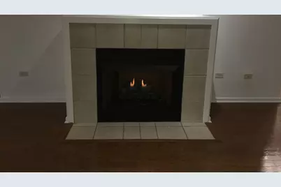 1525 S Sangamon Street #317-P, Chicago, IL 60608 - Photo 12