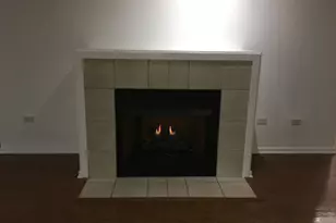 1525 S Sangamon St, Chicago, IL 60608 - Photo 12