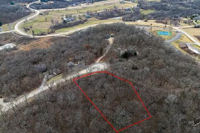 45 Lookout Trace, Galena, IL 61036 - Photo 4