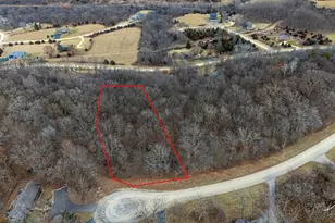 45 Lookout Trce, Galena, IL 61036 - Photo 1