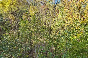 0S760 Cleveland St, Winfield, IL 60190 - Photo 1