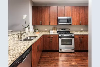 757 N Orleans Street #610, Chicago, IL 60654 - Photo 4