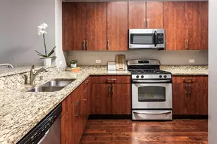 757 N Orleans St, Chicago, IL 60654 - Photo 4