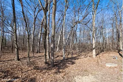 1931 Tessington Court, New Lenox, IL 60451 - Photo 10