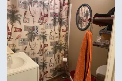 520 W Devlin Street, Spring Valley, IL 61362 - Photo 8