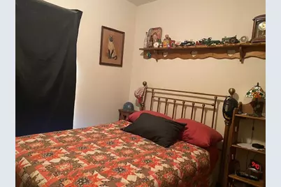 520 W Devlin Street, Spring Valley, IL 61362 - Photo 6