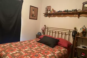 520 W Devlin St, Spring Valley, IL 61362 - Photo 6