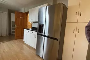 3159 S Lowe Ave, Chicago, IL 60616 - Photo 2