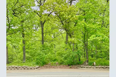 8322 W 123rd Street, Palos Park, IL 60464 - Photo 2