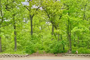 8322 W 123rd St, Palos Park, IL 60464 - Photo 2