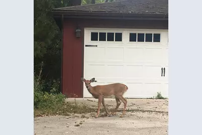 5787 N Clifford Avenue, Chicago, IL 60646 - Photo 2