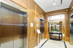 10 E Delaware Pl, Chicago, IL 60611 - Photo 54