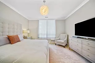 10 E Delaware Pl, Chicago, IL 60611 - Photo 20