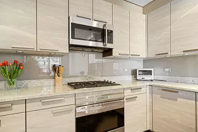 10 E Delaware Place #18E, Chicago, IL 60611 - Photo 12