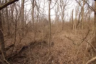 1193 Georgias Way, New Lenox, IL 60451 - Photo 2