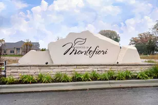 11166 Tuscany Ln, Lemont, IL 60439 - Photo 44