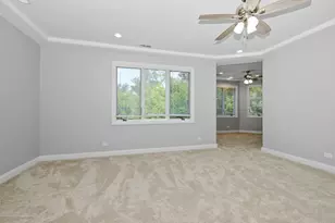 20659 Abbey Dr, Frankfort, IL 60423 - Photo 38