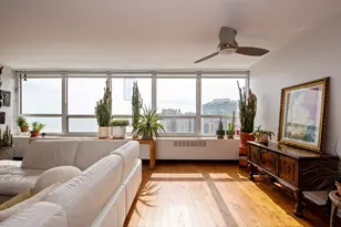 4800 S Chicago Beach Dr, Chicago, IL 60615 - Photo 10