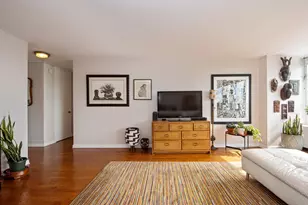 4800 S Chicago Beach Dr, Chicago, IL 60615 - Photo 10