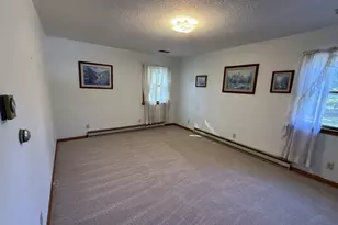 203 S Whitehead St, Tolono, IL 61880 - Photo 10