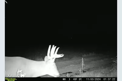 10385 N Rock City Road, German Valley, IL 61039 - Photo 134