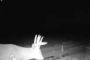 10385 N Rock City Rd, German Valley, IL 61039 - Photo 134