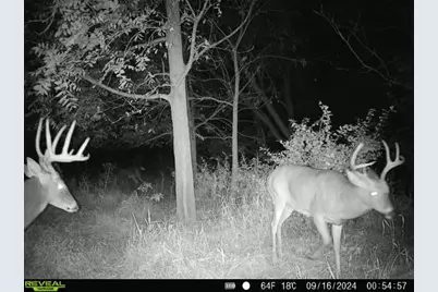 10385 N Rock City Road, German Valley, IL 61039 - Photo 102