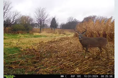 10385 N Rock City Road, German Valley, IL 61039 - Photo 156