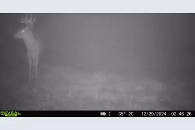 10385 N Rock City Road, German Valley, IL 61039 - Photo 140