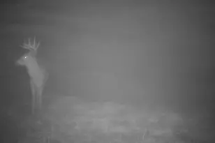 10385 N Rock City Rd, German Valley, IL 61039 - Photo 140