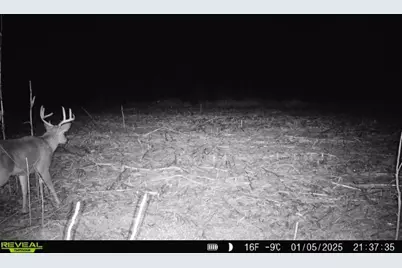 10385 N Rock City Road, German Valley, IL 61039 - Photo 112