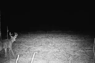 10385 N Rock City Rd, German Valley, IL 61039 - Photo 112