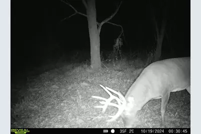 10385 N Rock City Road, German Valley, IL 61039 - Photo 150