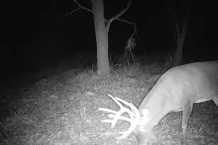 10385 N Rock City Rd, German Valley, IL 61039 - Photo 150