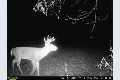 10385 N Rock City Road, German Valley, IL 61039 - Photo 138