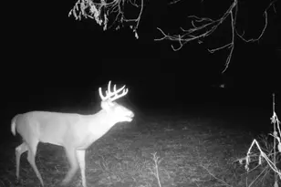 10385 N Rock City Rd, German Valley, IL 61039 - Photo 138