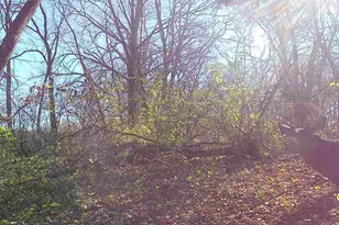 10385 N Rock City Rd, German Valley, IL 61039 - Photo 128