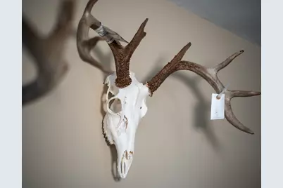 10385 N Rock City Road, German Valley, IL 61039 - Photo 34