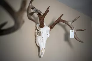 10385 N Rock City Rd, German Valley, IL 61039 - Photo 34