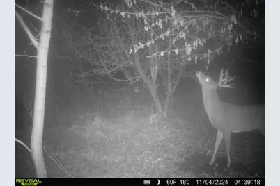 10385 N Rock City Road, German Valley, IL 61039 - Photo 122