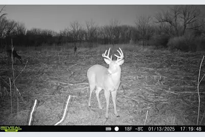 10385 N Rock City Road, German Valley, IL 61039 - Photo 108