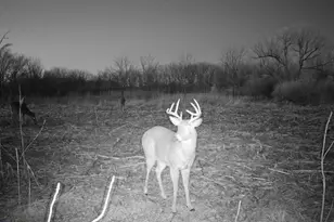 10385 N Rock City Rd, German Valley, IL 61039 - Photo 108