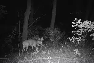 10385 N Rock City Rd, German Valley, IL 61039 - Photo 124