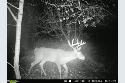 10385 N Rock City Road, German Valley, IL 61039 - Photo 106