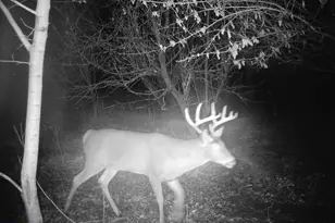 10385 N Rock City Rd, German Valley, IL 61039 - Photo 106