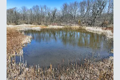 10385 N Rock City Road, German Valley, IL 61039 - Photo 52