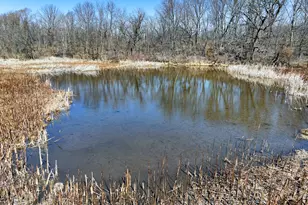 10385 N Rock City Rd, German Valley, IL 61039 - Photo 52