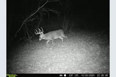 10385 N Rock City Road, German Valley, IL 61039 - Photo 104