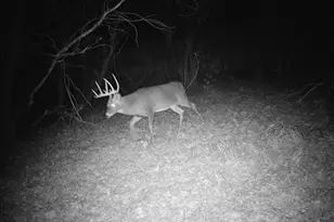 10385 N Rock City Rd, German Valley, IL 61039 - Photo 104